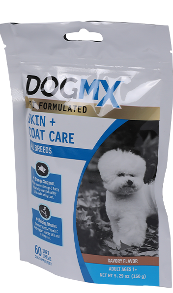 ชุดอาหารสัตว์เลี้ยง